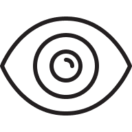 Vision